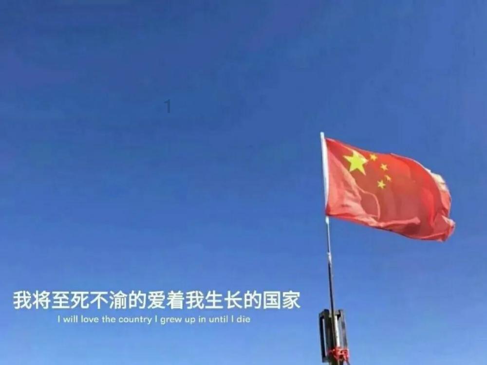 美味的烹饪料理